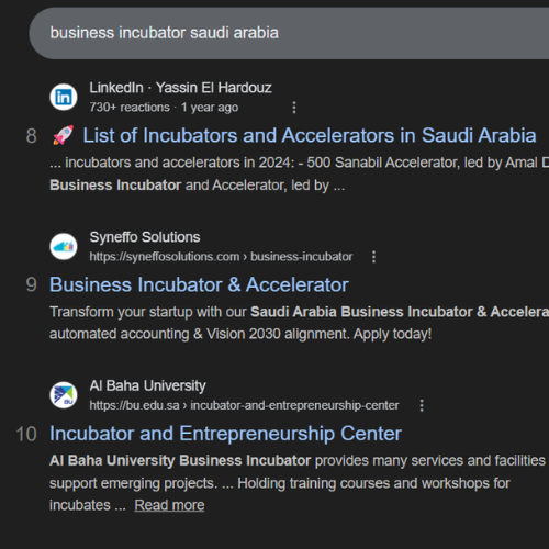 Google Ranking #1 for business incubator saudi arabia